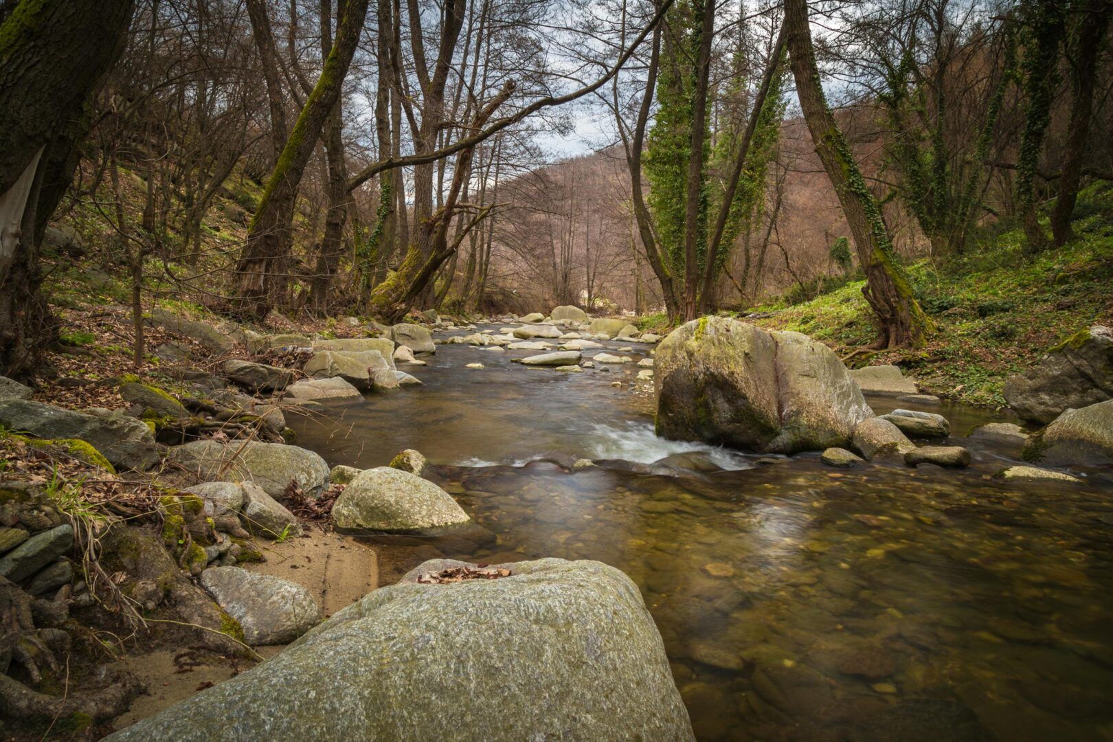 Tranquil forest stream flowing over moss-covered rocks with early spring foliage.