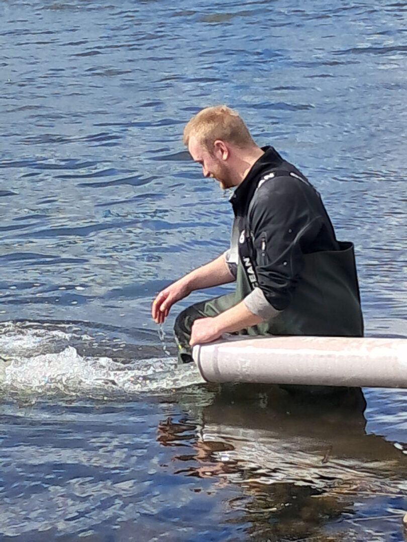 Udsætning af laksesmolt af DCV
